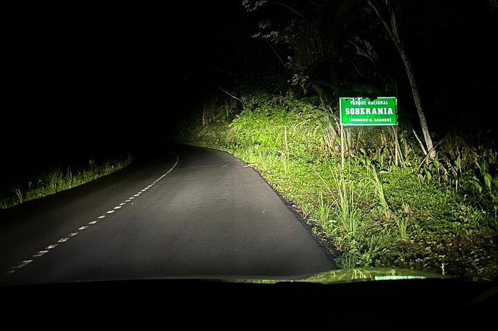 Night Adventure at Soberania National Park