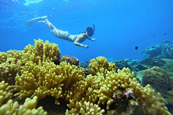 [Phu Quoc] Private Speedboat & Short-Snorkel: South Hidden Reefs