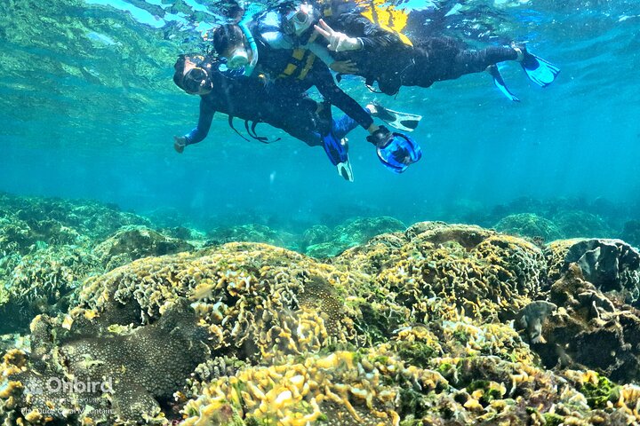 [Phu Quoc] Private Speedboat & Short-Snorkel: South Hidden Reefs
