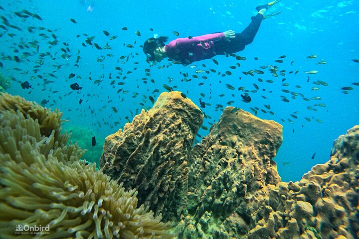 [Phu Quoc] Private Speedboat & Short-Snorkel: South Hidden Reefs