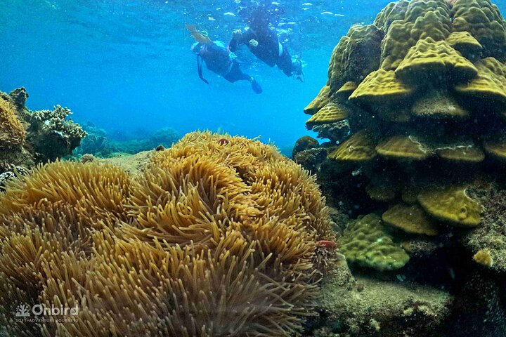 [Phu Quoc] Private Speedboat & Short-Snorkel: South Hidden Reefs