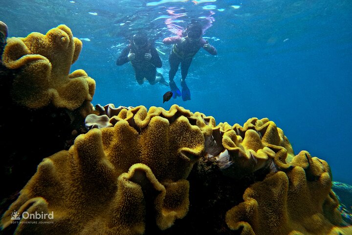 [Phu Quoc] Private Speedboat & Short-Snorkel: South Hidden Reefs