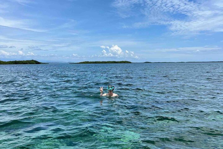 Bocas Del Toro Dolphin Bay, Chocolate Farm and Snorkel Tour
