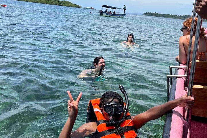 Bocas Del Toro Dolphin Bay, Chocolate Farm and Snorkel Tour