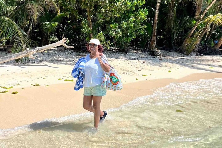 Bocas Del Toro Dolphin Bay, Chocolate Farm and Snorkel Tour
