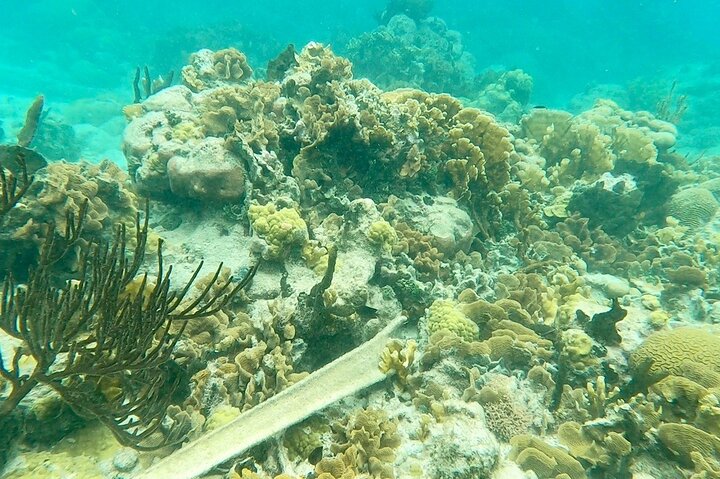 Private Catamaran Escape: Caribbean Beaches, Snorkeling & Lunch