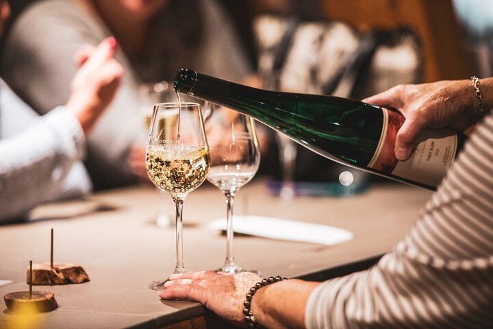 Luxembourg Moselle Tour with wine tasting and boat ticket