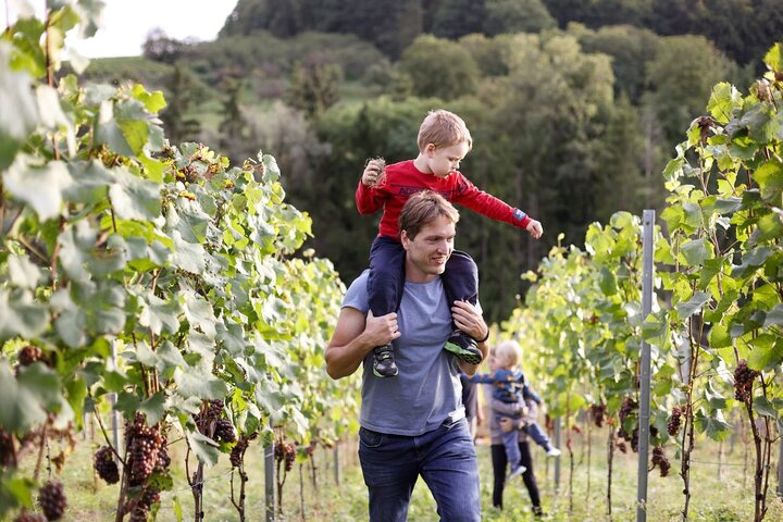 Luxembourg Moselle Tour with wine tasting and boat ticket