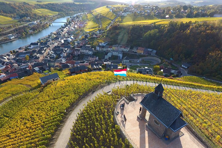 Luxembourg Moselle Tour with wine tasting and boat ticket