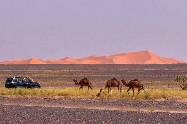 Merzouga 4x4 Tour Excursion Around Erg Chebbi Dunes