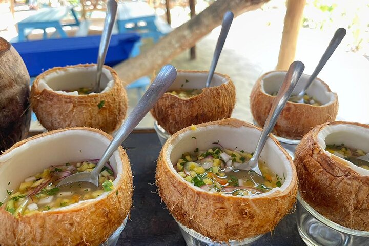 Isla Tortuga boat tour - from Paquera