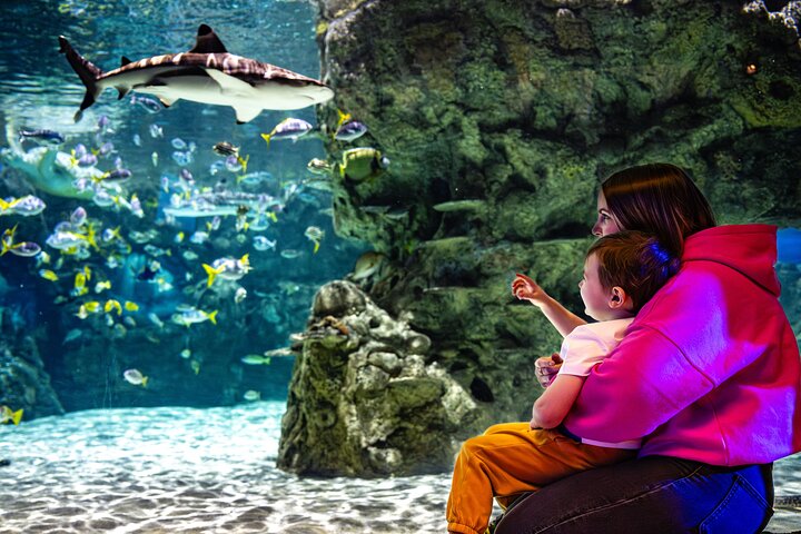 LEGOLAND® California Theme Park Admission Tickets