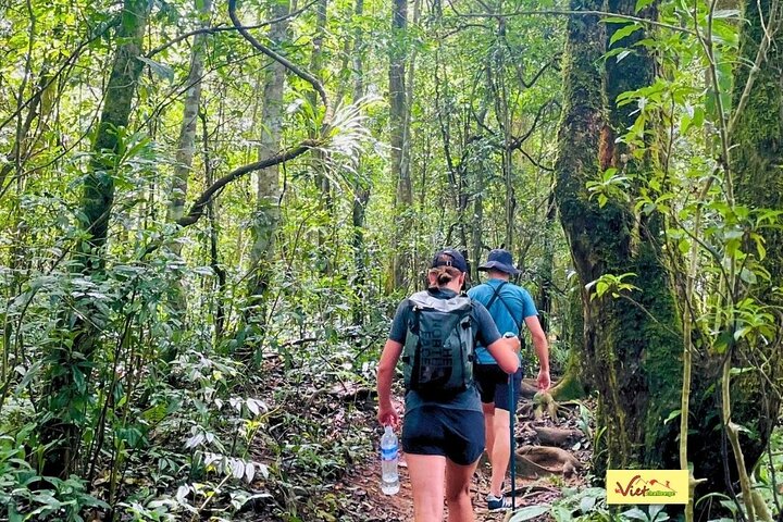 Langbiang Green Trekking Tours - Signature Trekking Dalat