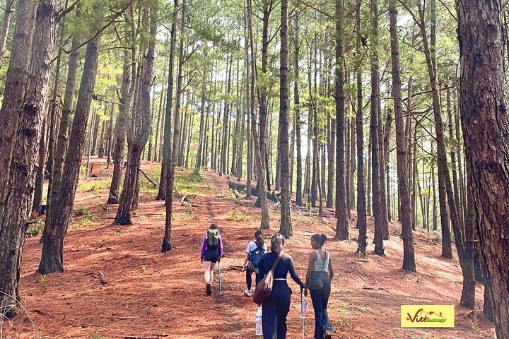 Langbiang Green Trekking Tours - Signature Trekking Dalat