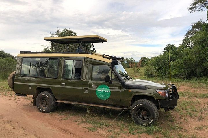 Day Trip Safari in Akagera Park with hotel pickup and lunch
