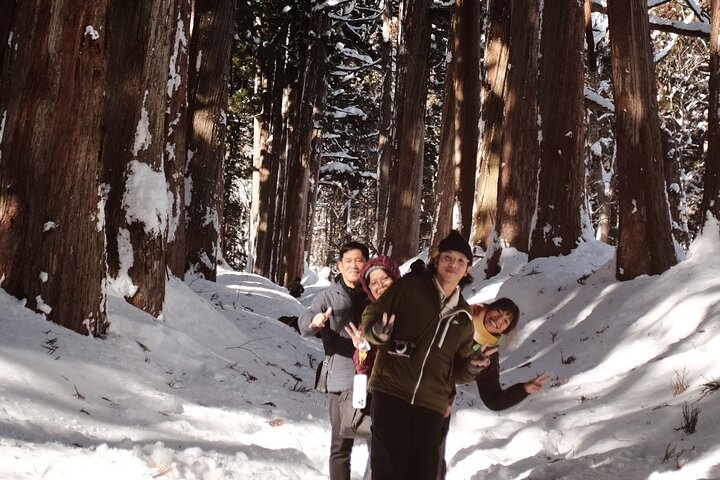 Jigokudani Snow Monkey and Togakushi Shrine Private Tour