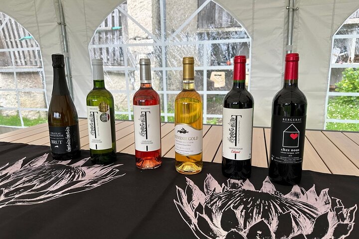 Wine Tasting at Chateau Lestevenie
