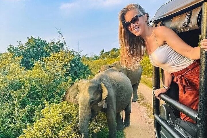 Private Polonnaruwa Ruins & Minneriya Safari Tour from Sigiriya