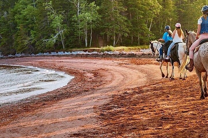 Beginner Brudenell Beach Trail Ride