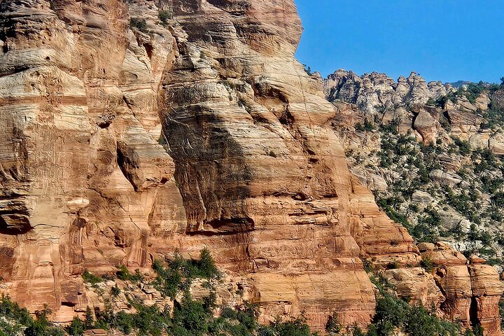 Zion National Park/Kolob Terrace Private 1/2 Day Sightseeing Tour