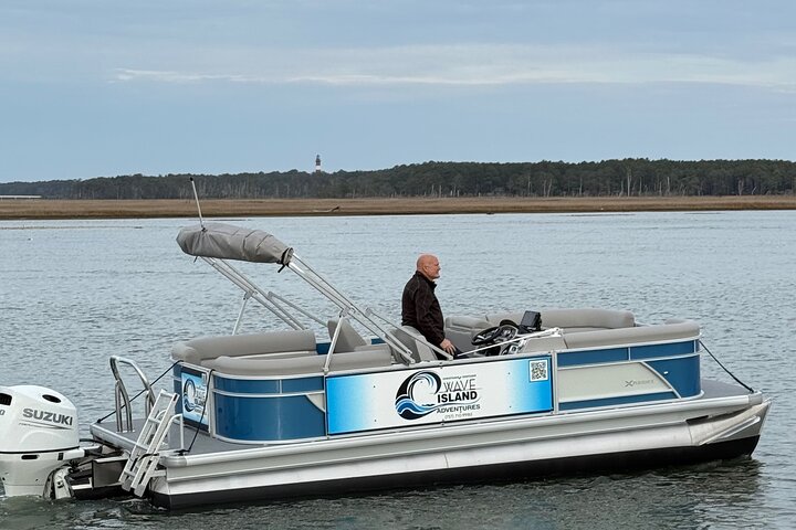Wildlife Boat Tour with Wild Ponies and Dolphins in Chincoteague