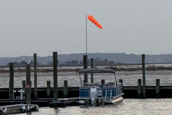 Wildlife Boat Tour with Wild Ponies and Dolphins in Chincoteague