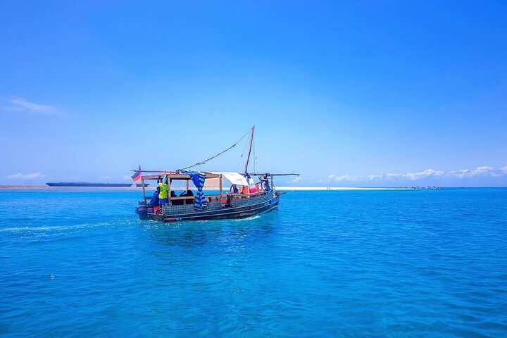 Full Day Dolphins Watching with Snorkeling in Wasini