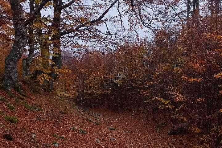 From Sarajevo: Full-Day Hike to Lukomir Village