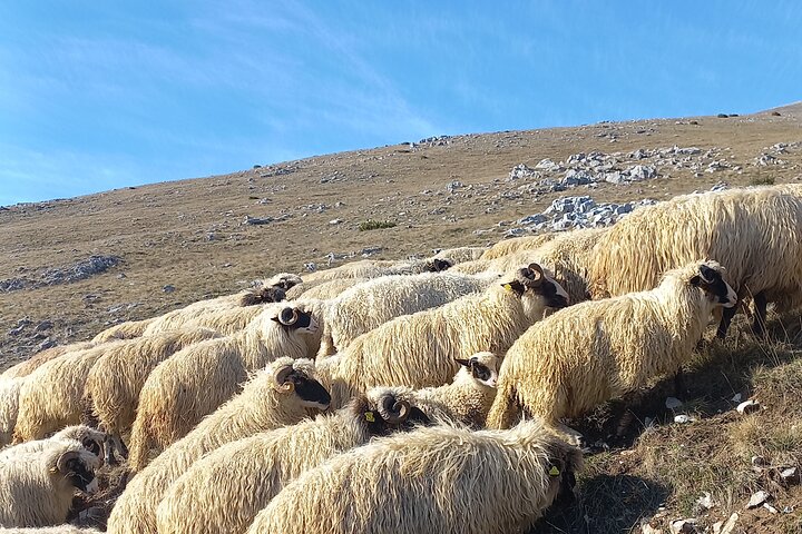 From Sarajevo: Full-Day Hike to Lukomir Village