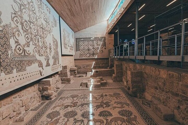 Madaba & Mount Nebo Half-Day Private Tour from The Dead Sea