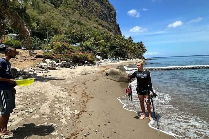 Spearfishing Experience