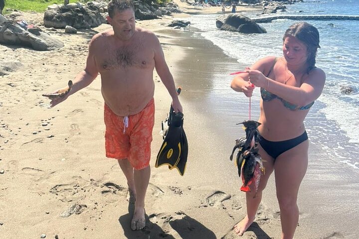 Spearfishing Experience