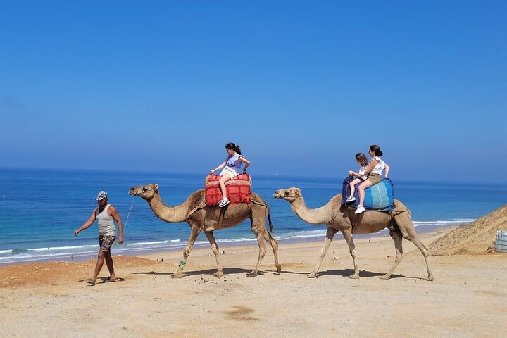 Authentic Full Day Private Tour of Tangier