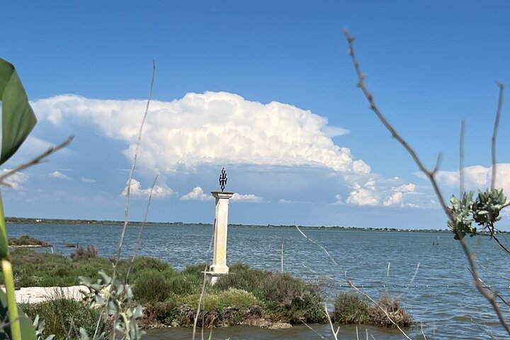 Montpellier Guided Ride in Little Camargue by Electric Bike