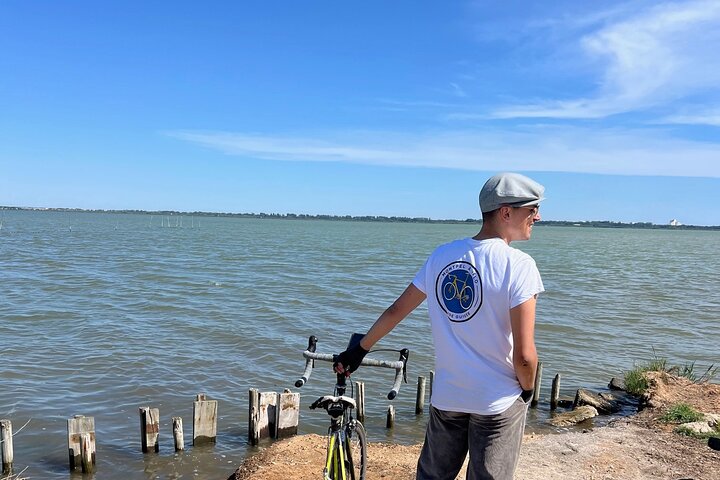 Montpellier Guided Ride in Little Camargue by Electric Bike