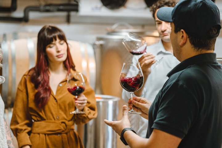 Auckland: Waiheke Island Seafront Lunch & Premium Wine Tour