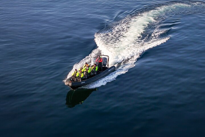 RIB adventure in the Lysefjord with fjord sightseeing