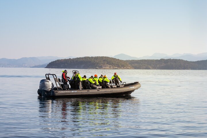 RIB adventure in the Lysefjord with fjord sightseeing