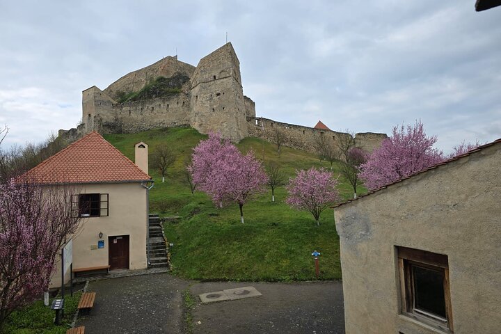 UNESCO TOUR :Sighisoara ,Viscri and Rupea Tour from Brasov