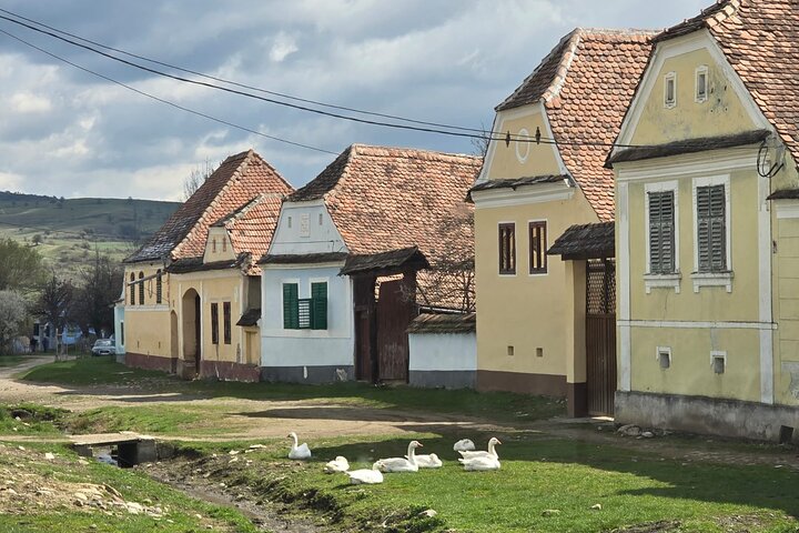UNESCO TOUR :Sighisoara ,Viscri and Rupea Tour from Brasov
