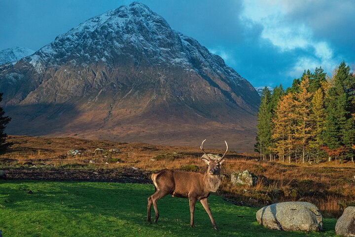Glencoe and Glen Nevis Private Half Day Tour from Fort William