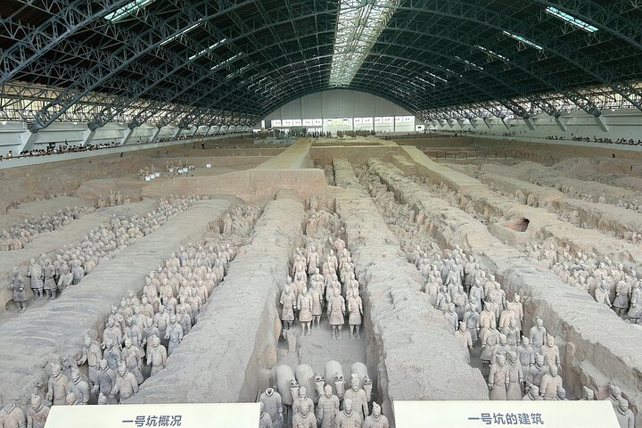 Xi'an: Exclusive Terracotta Army Tour & Local Family Lunch