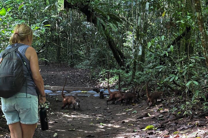 Corcovado National Park Sirena Day Tour From Puerto Jimenez
