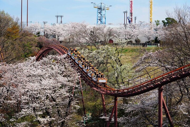 Yomiuri Land Amusement Park Ticket Tokyo Japan