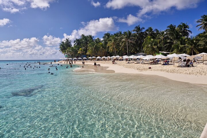 Excursion to Jhony Cay, Aquarium, Bay Tour and Mangroves.