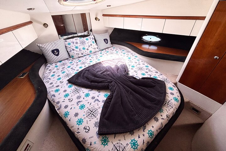 Private VIP Motoryacht Charter in Bodrum For 6 Hours With Lunch