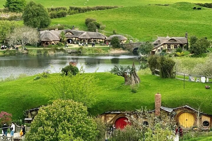 From Hamilton Hobbiton Waitomo Glowworm Caves 1 Day Private Tour