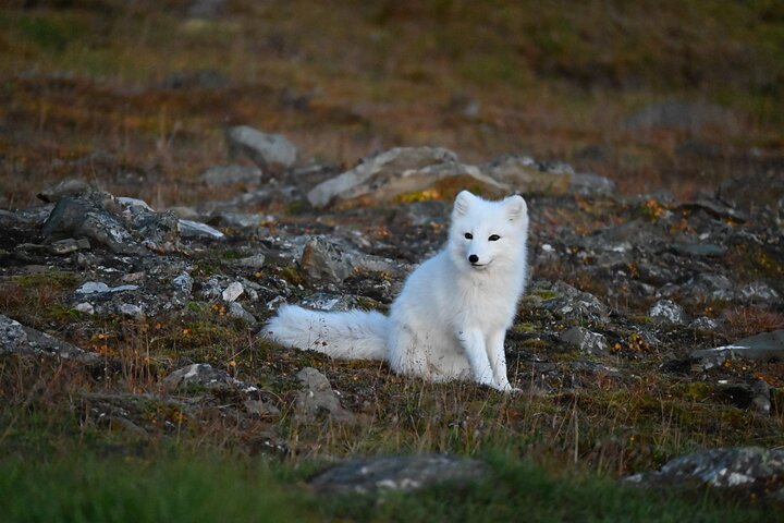 Svalbard Discover the Mining Settlement of Pyramiden