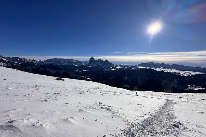 From Verona area: Private day trip to the Dolomites