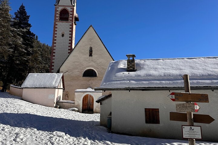 From Verona area: Private day trip to the Dolomites